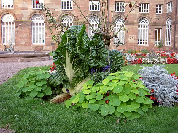 La Suisse d'Alsace - Image 03