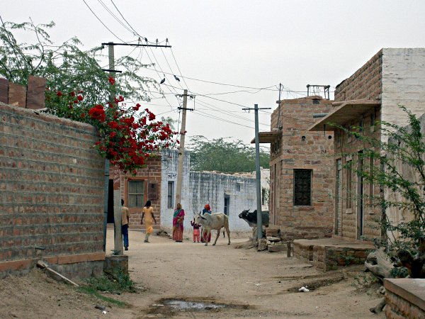 India - Image 68