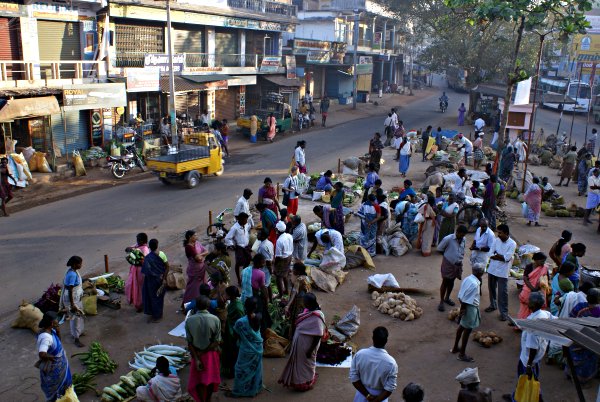 India - Image 31