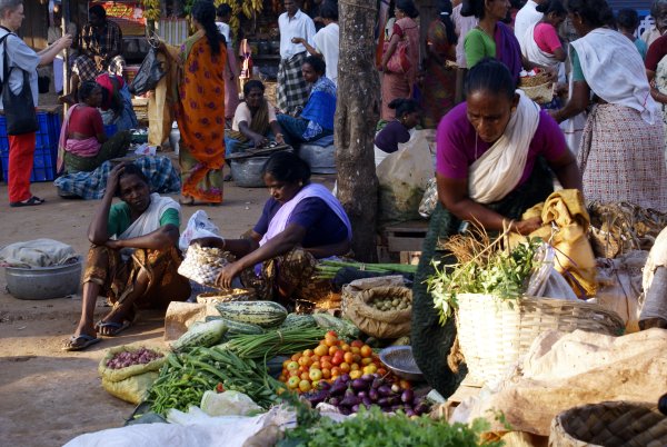 India - Image 32