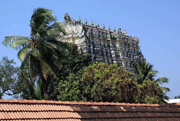 India - Image 16