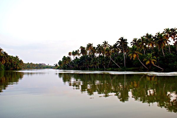 India - Image 25