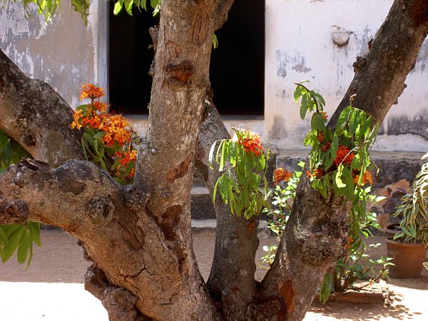 India - Image 22
