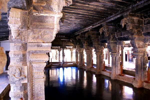 India - Image 20