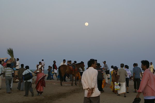 India - Image 30