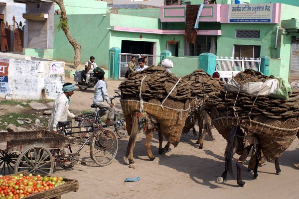 India - Image 43