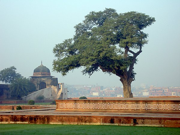 India - Image 47
