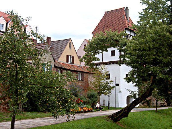 Bayern 2008 - Image 03