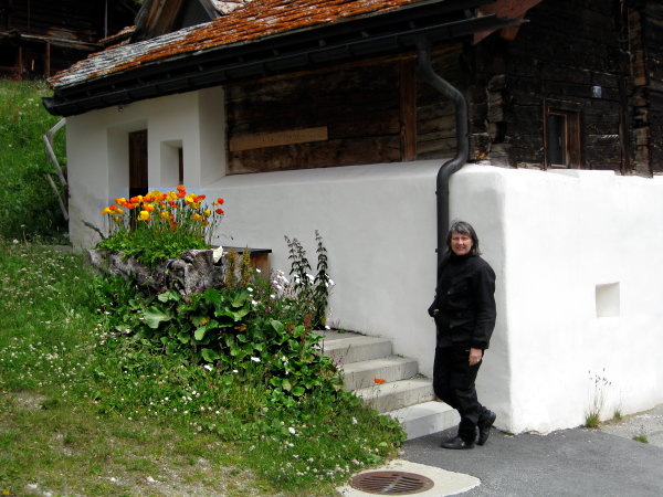 Swiss valleys 2009 - Image 12