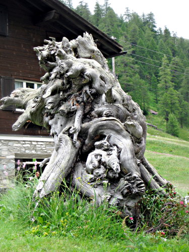 Swiss valleys 2009 - Image 14