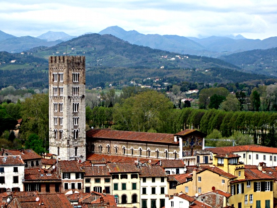 Pisa, Lucca - Image 11