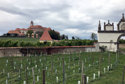 Riegersburg in Styria