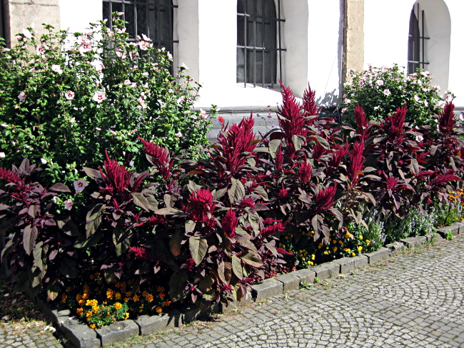 Zurich - Boppard by motorbike, August 2012 - Image 3