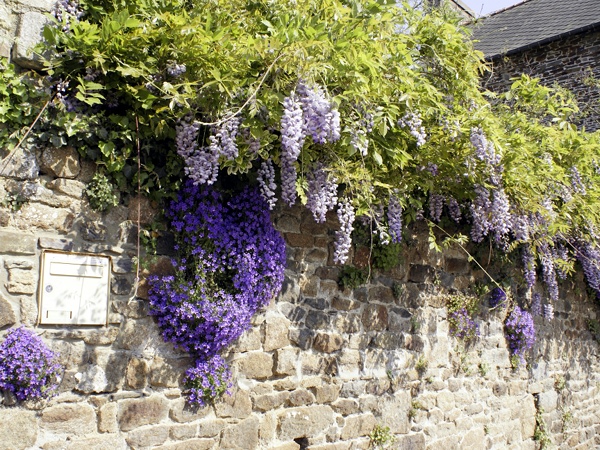 Bretagne 2011 - Image 10