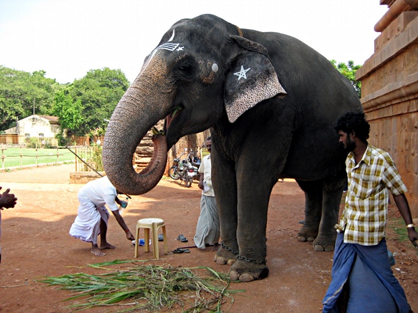 Tamil Nadu