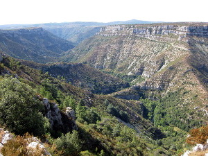 Gorges de la Vis