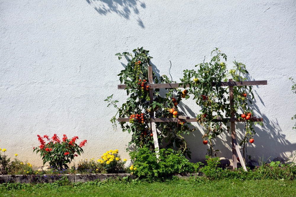 Kloster Frauenthal