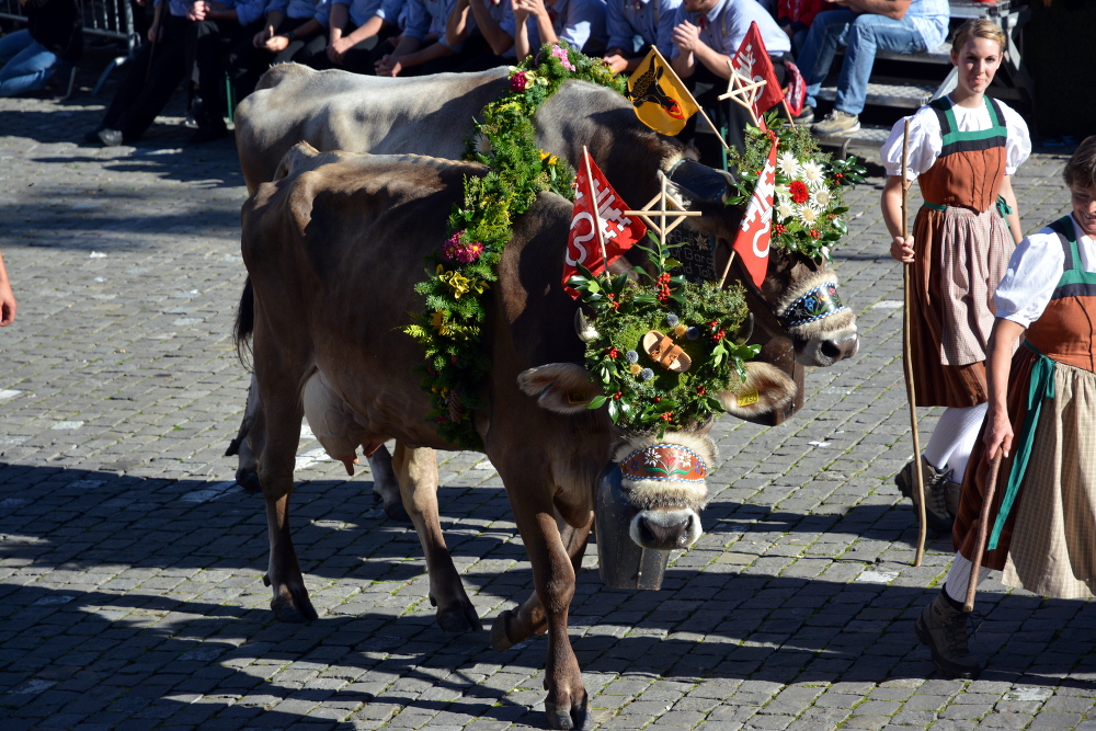 Stans Älplerfest