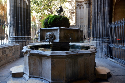 Barcelona - in the cloister of the cathedral