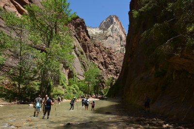 Zion National Park - Virgin River