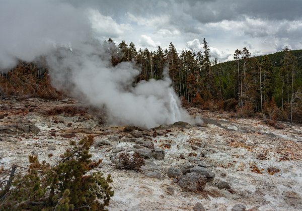 USA National Parks 2019